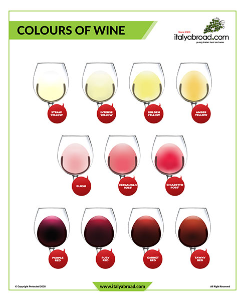 Colours of Wine, Italyabroad.com