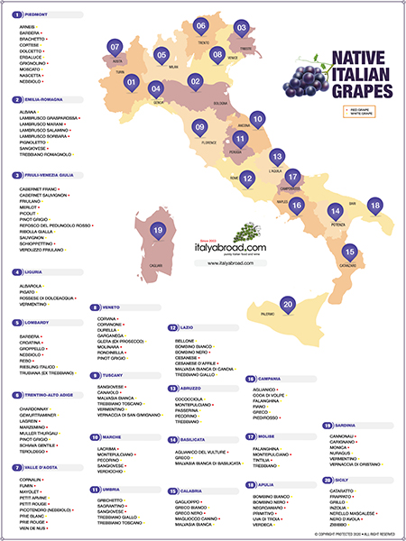 Italian Native Grapes Map, Italyabroad.com